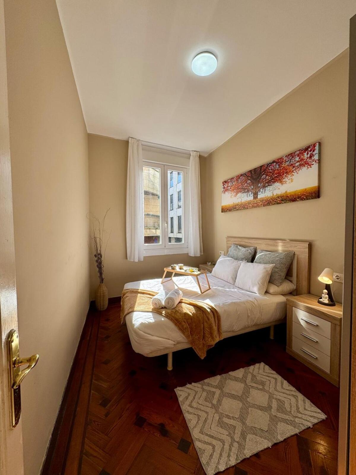Apartamento Centro Peatonal 5 Habitaciones Con Balcon